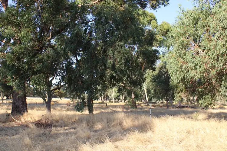 Sixth view of Homely rural property listing, 246 GOVERNMENT ROAD, Harvey WA 6220
