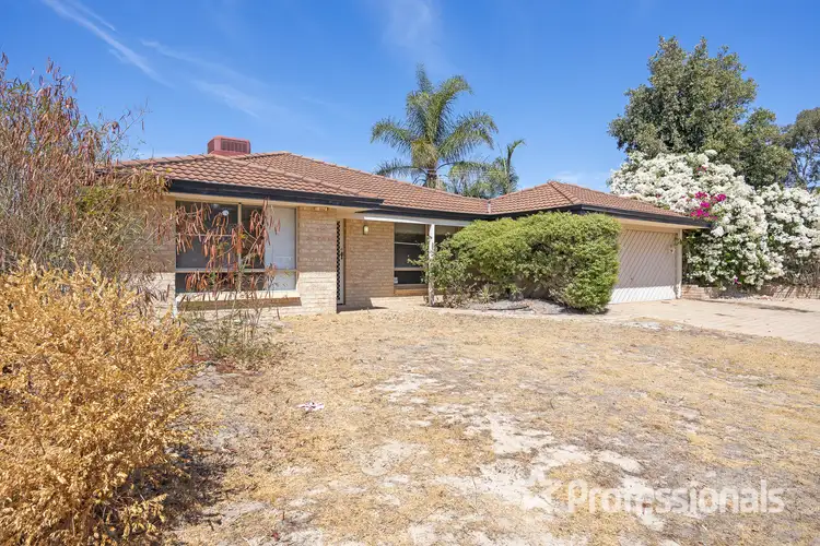 Second view of Homely house listing, 24 Mammoth Court, Ballajura WA 6066