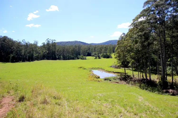 Fifth view of Homely rural property listing, 142 The Cedars Road, Bellangry NSW 2446
