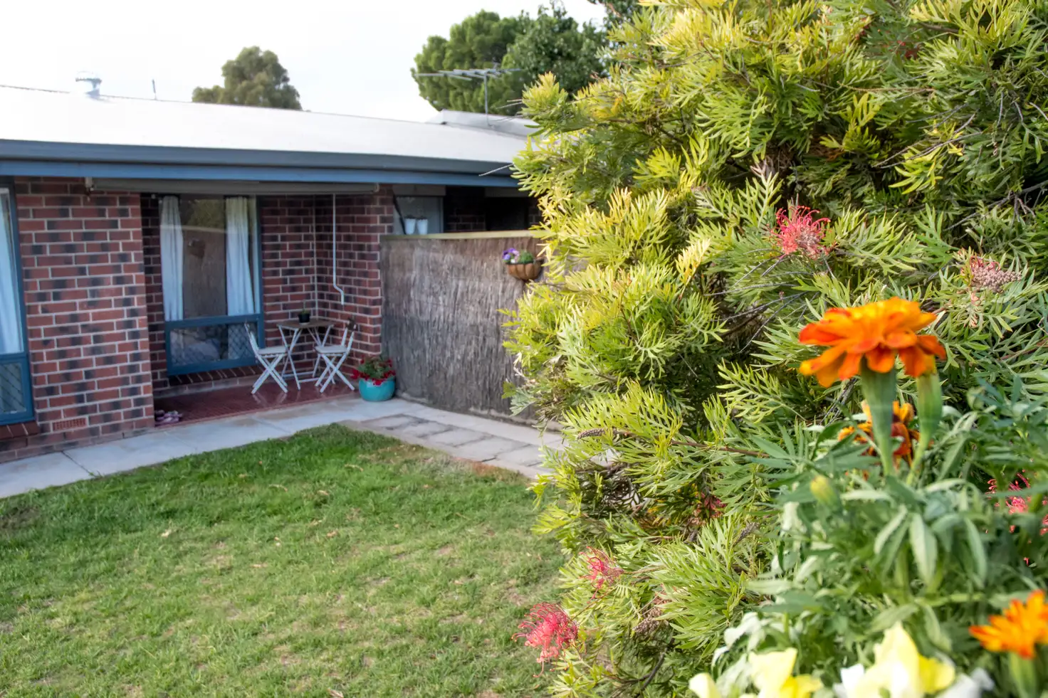 Main view of Homely unit listing, 1/4 Carey Street, Magill SA 5072