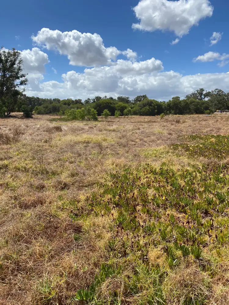 Sixth view of Homely house listing, 1312 Thomas Road, Oakford WA 6121