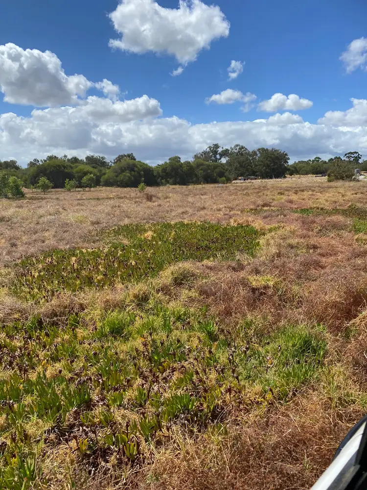 Seventh view of Homely house listing, 1312 Thomas Road, Oakford WA 6121