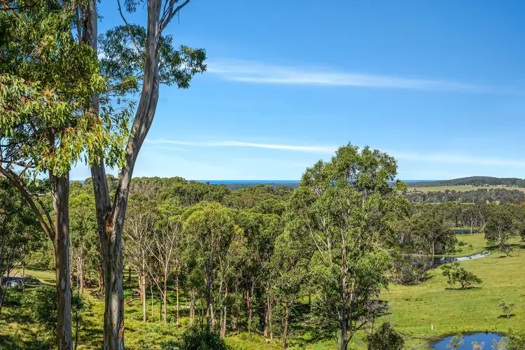 Third view of Homely rural property listing, 256 Francis Street, Moruya NSW 2537