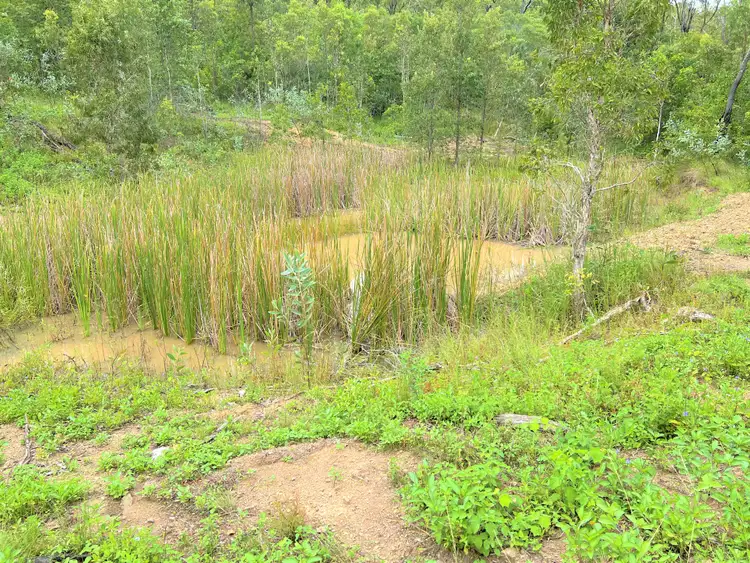 Third view of Homely land listing, 130 Lelona Drive, Bloomsbury QLD 4799