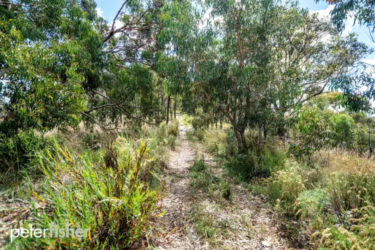 Fifth view of Homely rural property listing, 386 Gowan Road, Gowan NSW 2795
