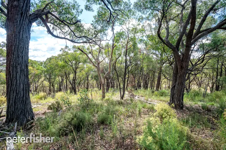 Sixth view of Homely rural property listing, 386 Gowan Road, Gowan NSW 2795