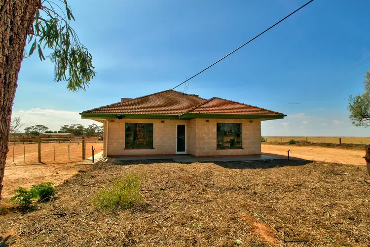 Second view of Homely house listing, 1343 Obst Road, Loxton SA 5333