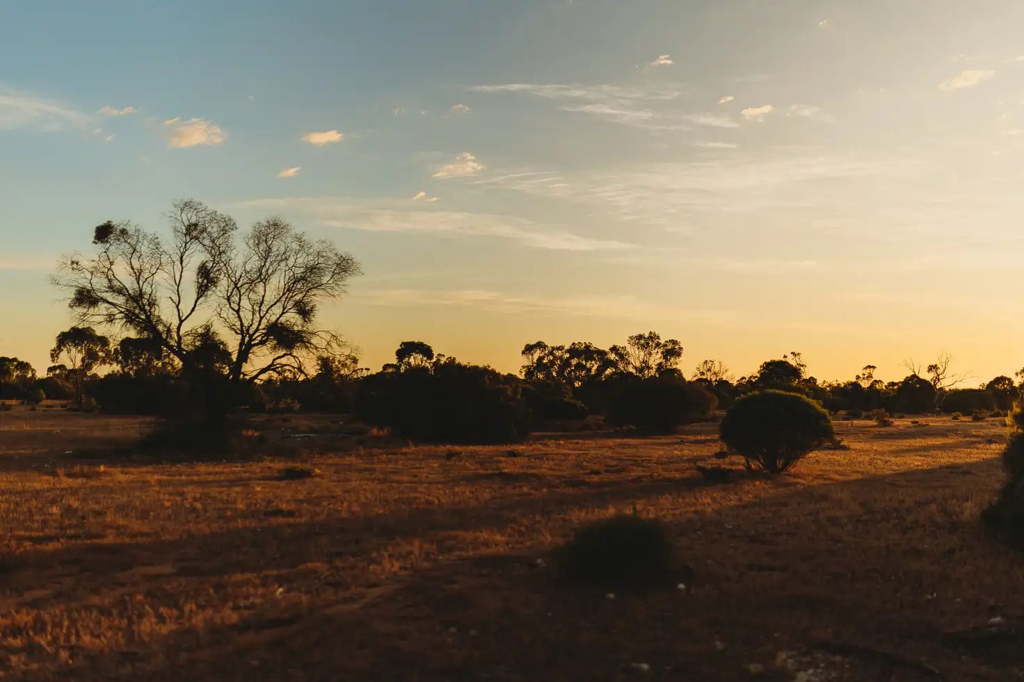 Main view of Homely land listing, 281 Hankel Road, Sandleton SA 5356