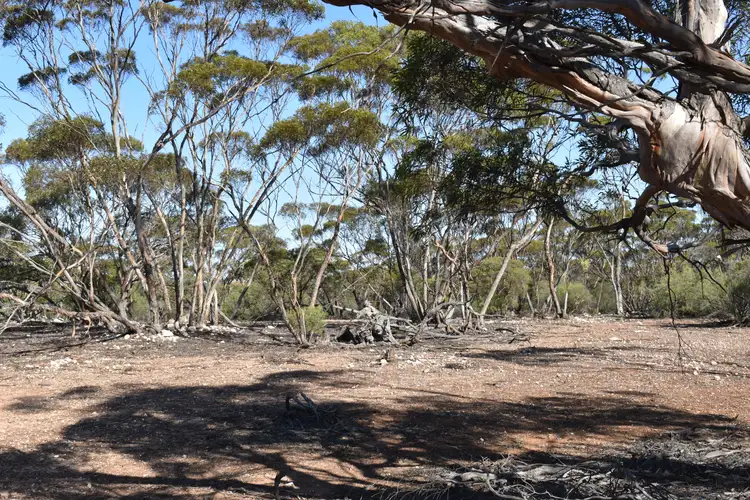 Third view of Homely land listing, 281 Hankel Road, Sandleton SA 5356