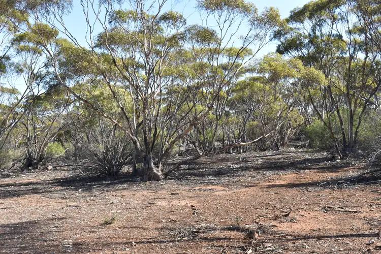 Fourth view of Homely land listing, 281 Hankel Road, Sandleton SA 5356