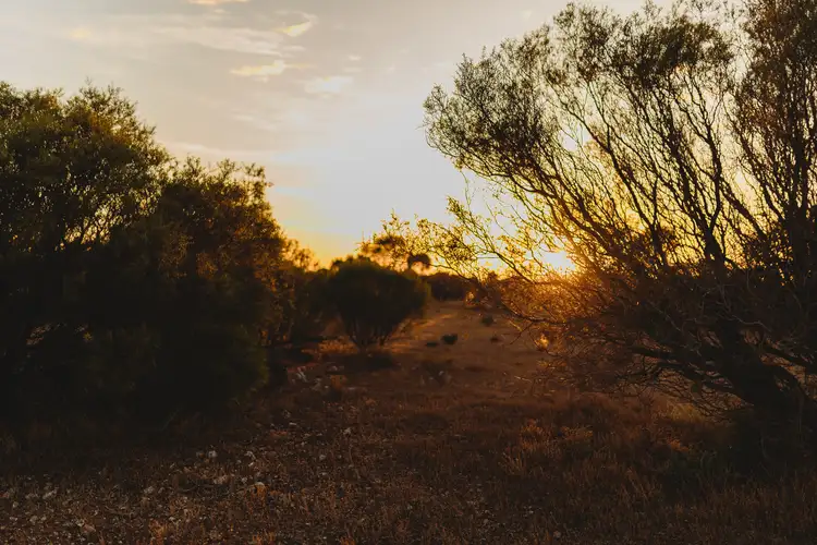 Fifth view of Homely land listing, 281 Hankel Road, Sandleton SA 5356
