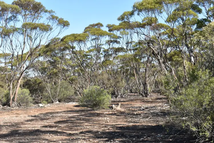 Sixth view of Homely land listing, 281 Hankel Road, Sandleton SA 5356