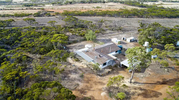 Main view of Homely rural property listing, 16676 South Coast Highway, Ravensthorpe WA 6346