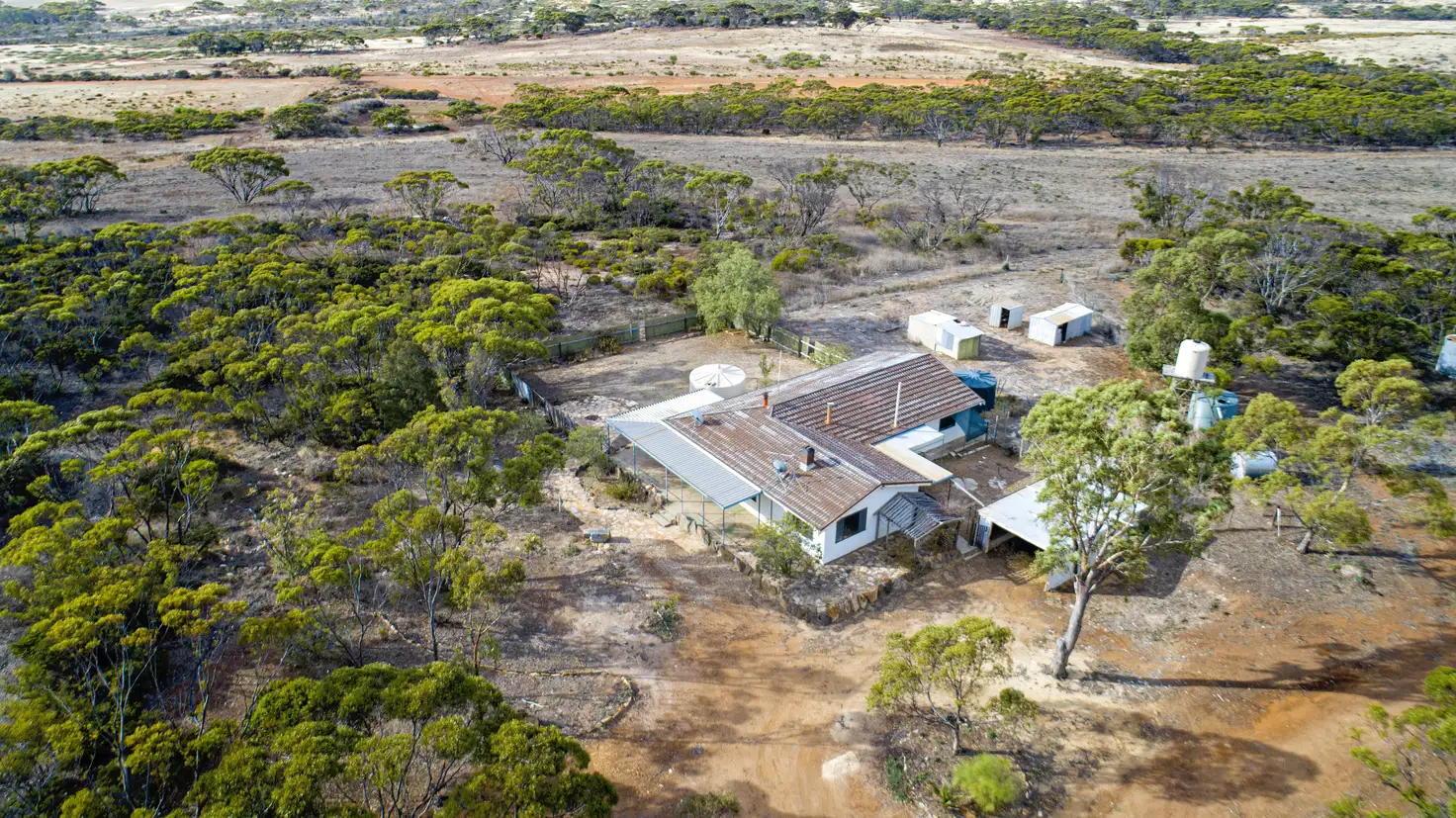 Main view of Homely rural property listing, 16676 South Coast Highway, Ravensthorpe WA 6346