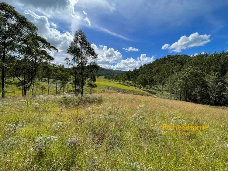 Main view of Homely rural property listing, Lot 401 Mud Hut Road, Gloucester NSW 2422