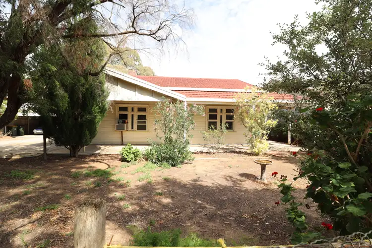 Main view of Homely house listing, 17 Pethick Street, Pinnaroo SA 5304