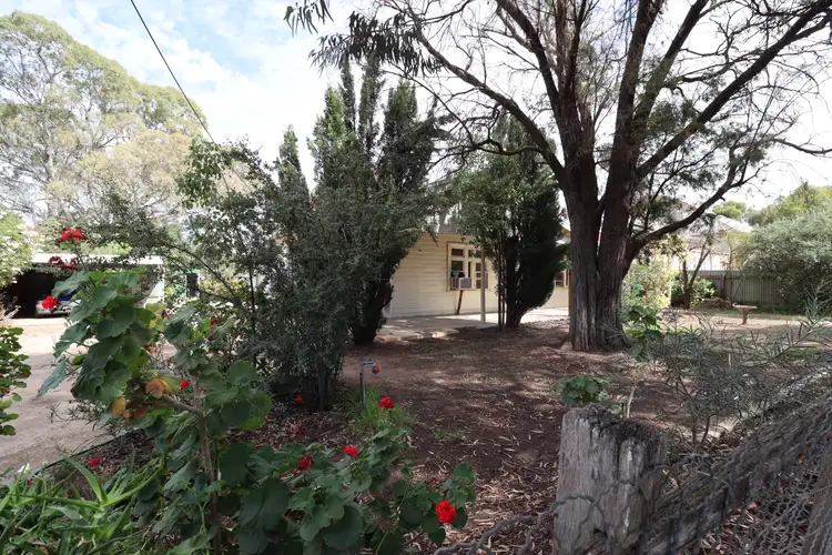 Third view of Homely house listing, 17 Pethick Street, Pinnaroo SA 5304