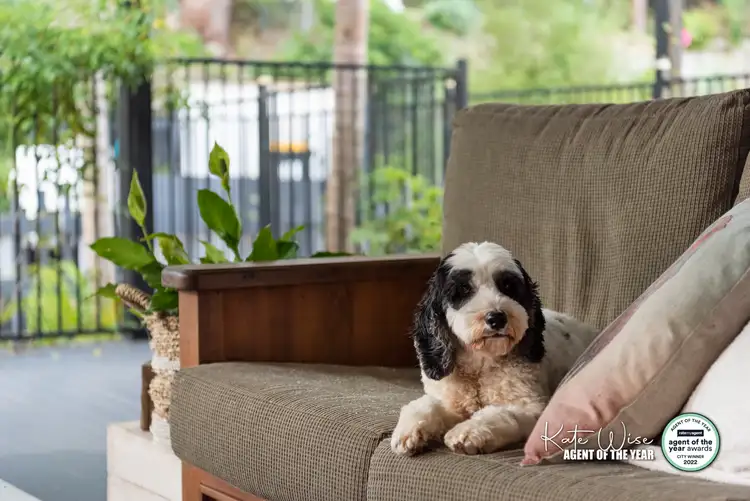 Second view of Homely house listing, 23 Linden Way, Mollymook Beach NSW 2539