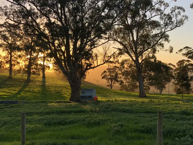 Third view of Homely rural property listing, 525 Mount Eccles Road, Mount Eccles VIC 3953