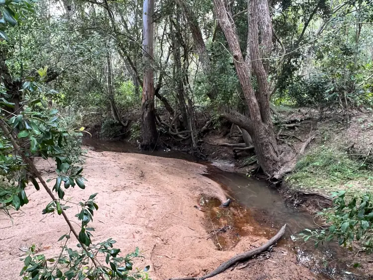Third view of Homely land listing, LOT 180, 2 Hebbards Road, Apple Tree Creek QLD 4660