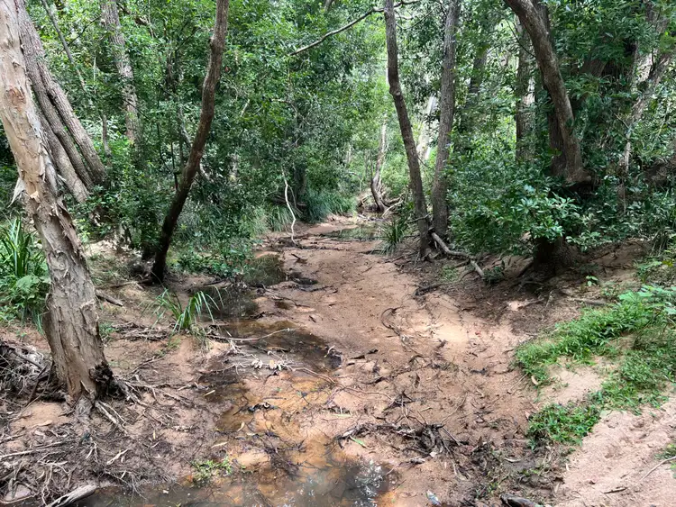 Fifth view of Homely land listing, LOT 180, 2 Hebbards Road, Apple Tree Creek QLD 4660