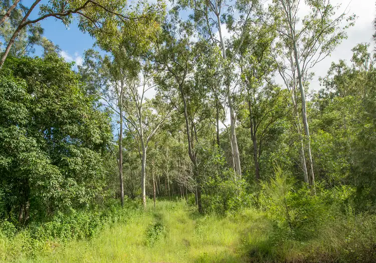 Third view of Homely rural property listing, 8-70 Penny Lane, Calvert QLD 4340