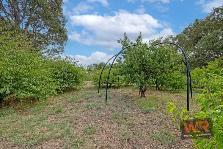 Seventh view of Homely house listing, 23 Webster Street, Mount Barker WA 6324