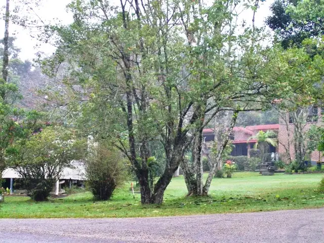 Third view of Homely house listing, 8 Mt Spec Road, Paluma QLD 4816