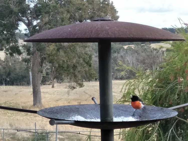 Fourth view of Homely rural property listing, 5980 DONNYBROOK-BOYUP BROOK ROAD, Boyup Brook WA 6244