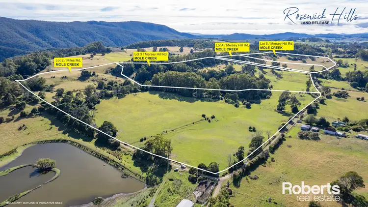 Main view of Homely land listing, Lot 2 - 5 Miles Road & Mersey Hill Road, Mole Creek TAS 7304