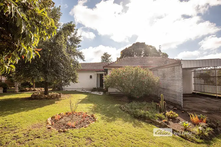 Third view of Homely house listing, 5 MEMORIAL DRIVE, Naracoorte SA 5271