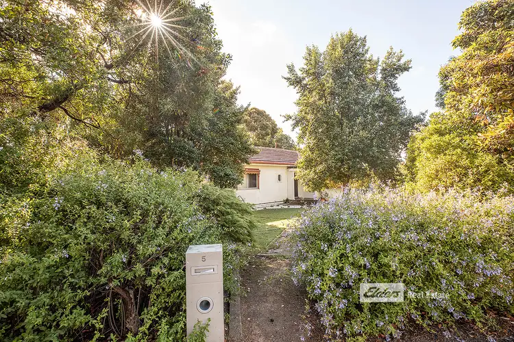 Fifth view of Homely house listing, 5 MEMORIAL DRIVE, Naracoorte SA 5271