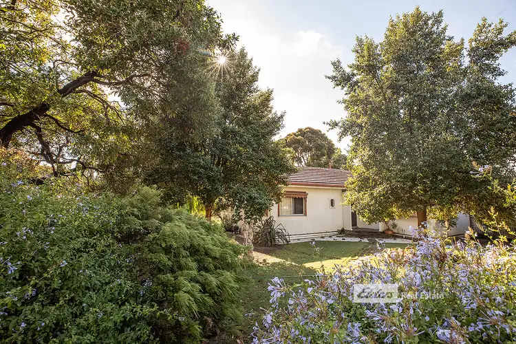 Sixth view of Homely house listing, 5 MEMORIAL DRIVE, Naracoorte SA 5271