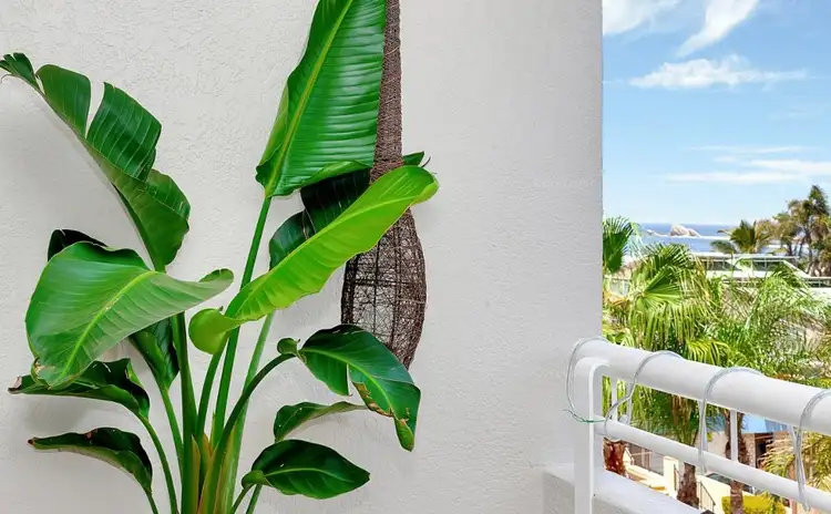 Fifth view of Homely apartment listing, 26/14 Jefferson Lane, Palm Beach QLD 4221