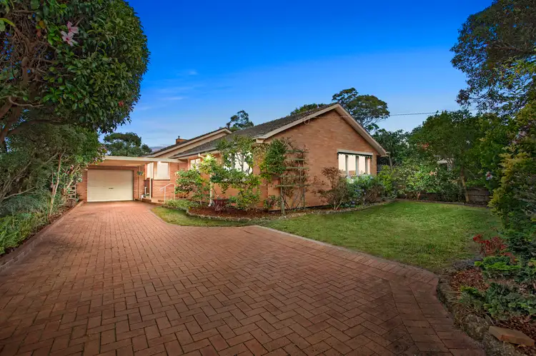 Main view of Homely house listing, 14 Camelia Grove, Cheltenham VIC 3192