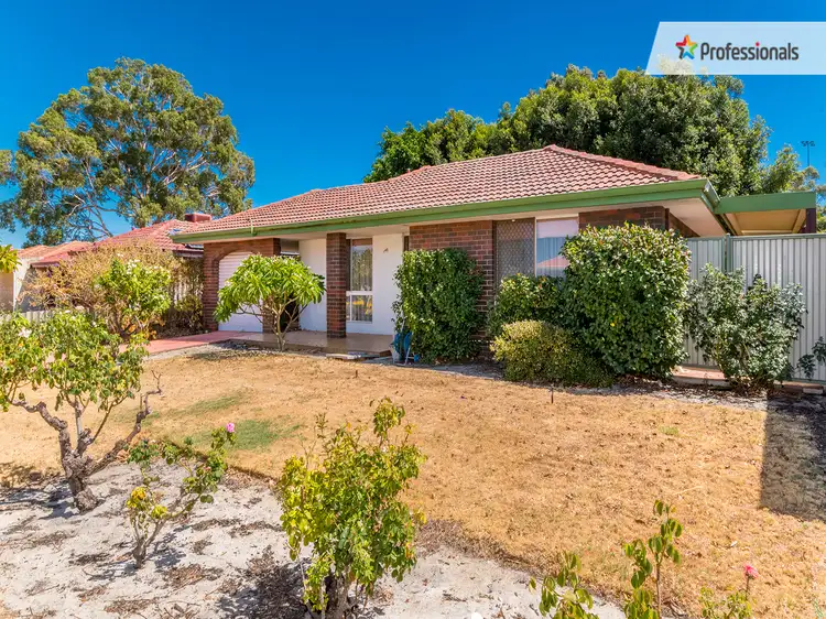 Second view of Homely house listing, 16 Whitby Court, Bentley WA 6102