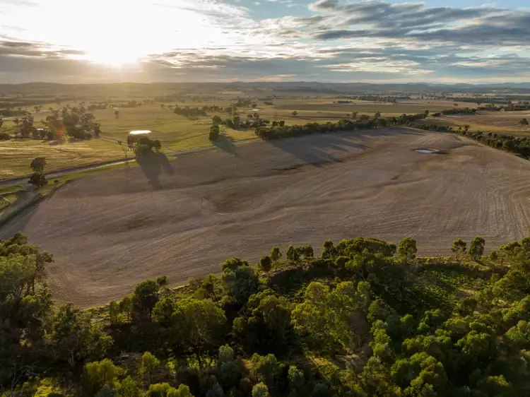 Sixth view of Homely rural property listing, 'Stradbroke' 983 Stockinbingal Road, Cootamundra NSW 2590