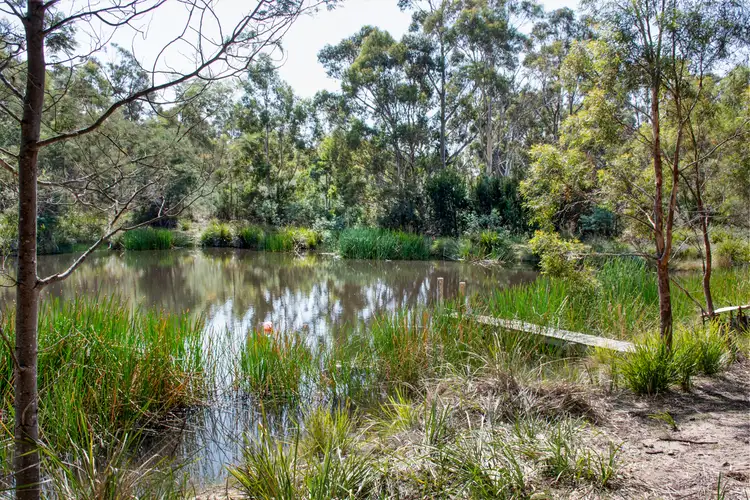 Sixth view of Homely house listing, 21921 Tasman Highway, Four Mile Creek TAS 7215