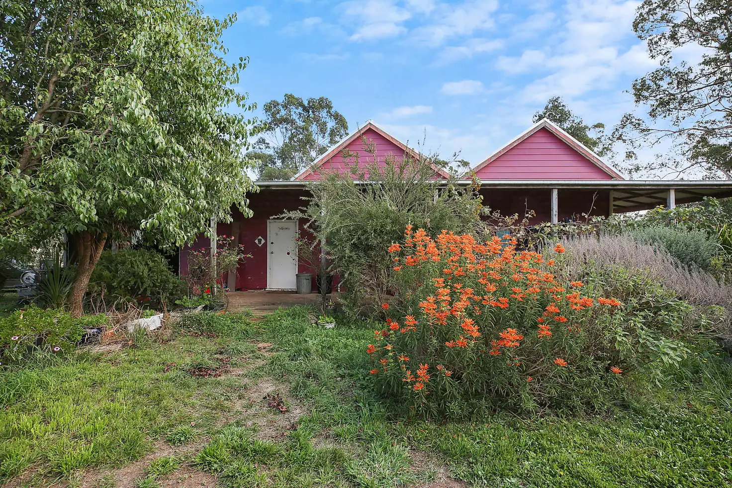 Main view of Homely rural property listing, 125 Retallacks Road, Elingamite North VIC 3266