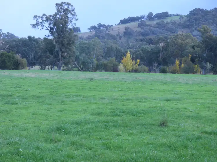 Sixth view of Homely rural property listing, 89 Harrison Road, Warrenbayne VIC 3670