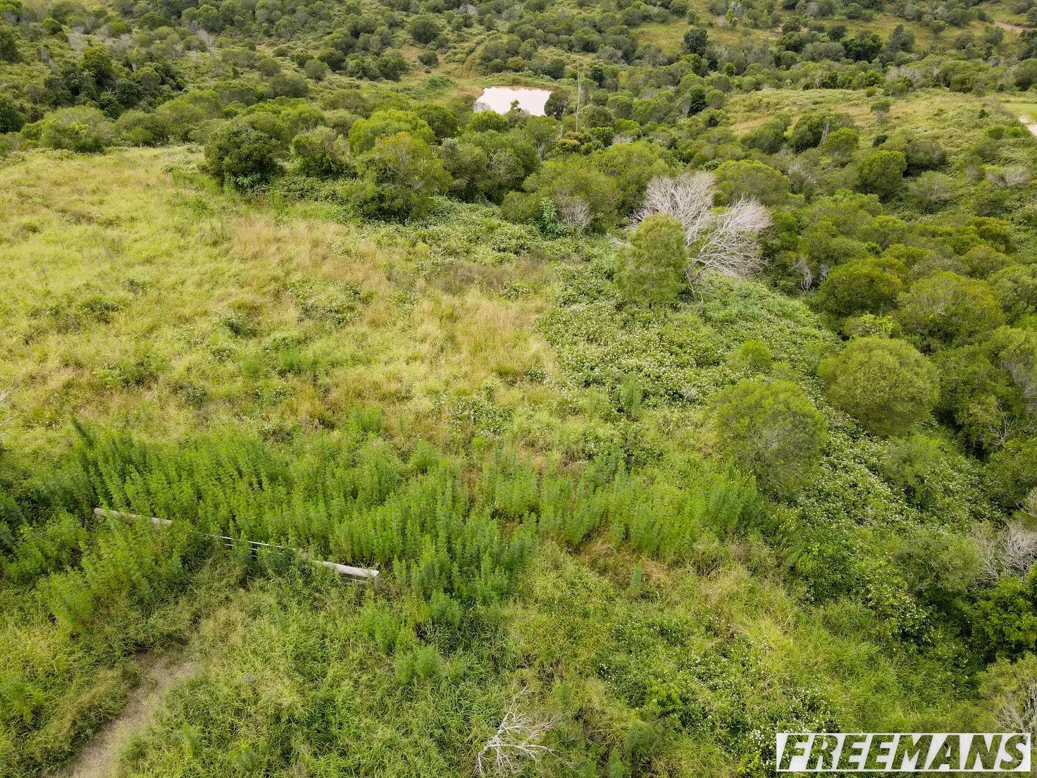 Main view of Homely land listing, LOT 12 Mercer Springate Road, Nanango QLD 4615