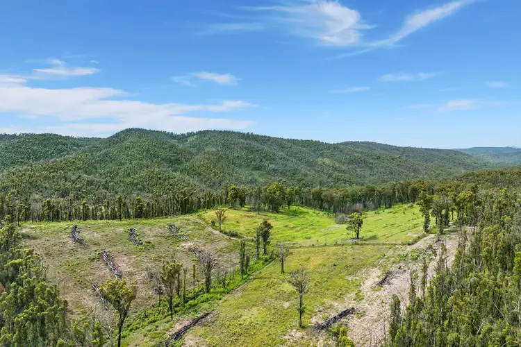 Third view of Homely rural property listing, 1645 Araluen Road, Deua River Valley NSW 2537