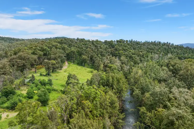 Seventh view of Homely rural property listing, 1645 Araluen Road, Deua River Valley NSW 2537