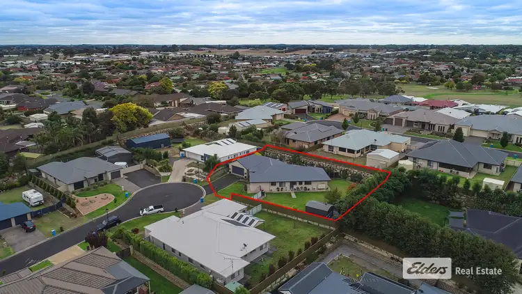 Fifth view of Homely house listing, 12 Silverbrook Avenue, Mount Gambier SA 5290