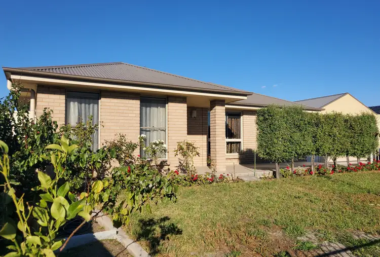 51 Grieve Avenue, Naracoorte SA 5271