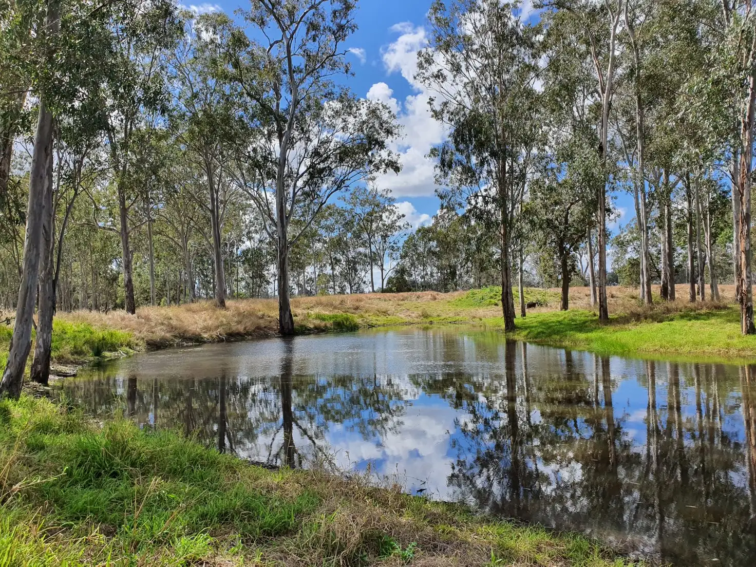 Main view of Homely rural property listing, 444 Abercorn Road, Abercorn QLD 4627