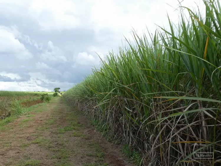 Fourth view of Homely rural property listing, Address available on request