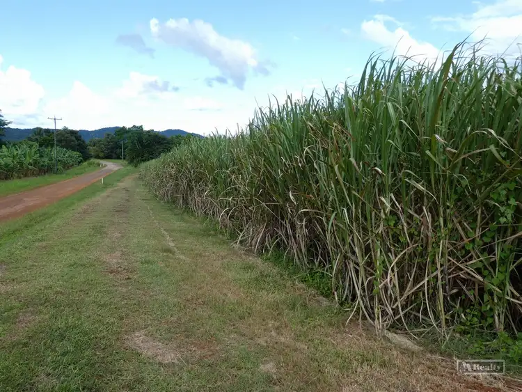 Seventh view of Homely rural property listing, Address available on request