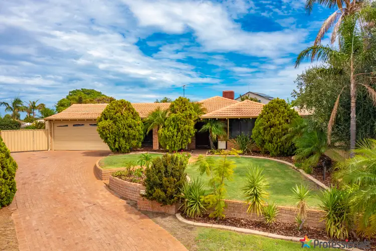 Main view of Homely house listing, 6 Silkwood Close, Halls Head WA 6210