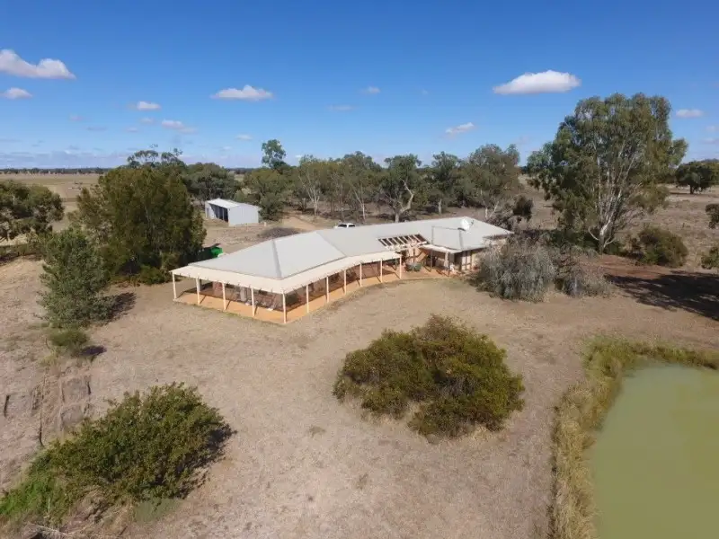 Main view of Homely rural property listing, 244 Moonee Swamp Road, Deniliquin NSW 2710